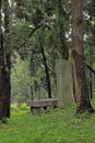 Gravestones in the Confucius Cemetery Royalty Free Stock Photo